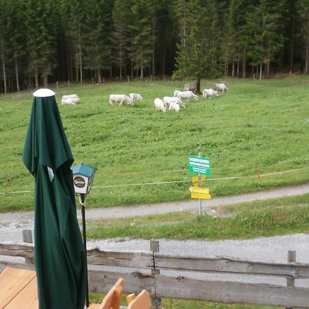 Gasthof Untere Valentinalm Ξενοδοχείο Plöcken Εξωτερικό φωτογραφία