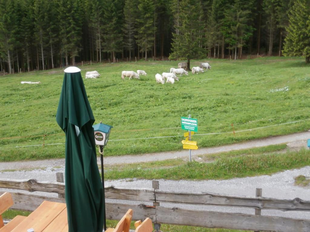 Gasthof Untere Valentinalm Ξενοδοχείο Plöcken Εξωτερικό φωτογραφία